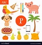 Letter p cartoon alphabet for children pear pig Vector Image