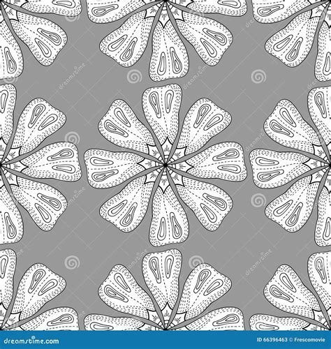 Monochrome Floral Pattern Stock Vector Illustration Of Backdrop