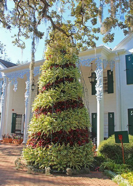 Happy Holidays Florida Christmas Bromeliad Garden Coastal