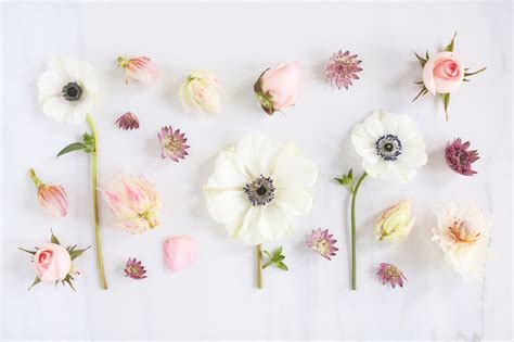 Flower aesthetic android iphone desktop hd backgrounds wallpapers 1080p 4k wallpaper iphone summer iphone wallpaper images floral wallpaper iphone. DIGITAL BLOOMS FEBRUARY 2018 | FREE DESKTOP WALLPAPERS ...