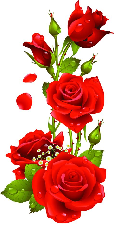 Royalty Free Rose Flower Hd Png Rose Wall