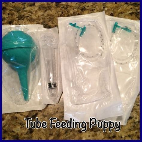 Whelping Breeder Puppy Kit Nursing Tube Feeding Kit 8 Fr Orphan Puppy