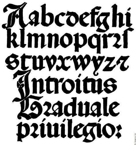 Spoodawgmusic Roundhand Calligraphy Alphabet