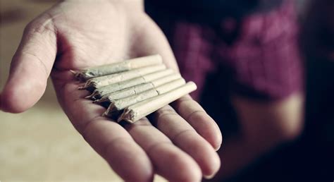 Weed 101: Just How Long Does a Joint Stay in Your System?