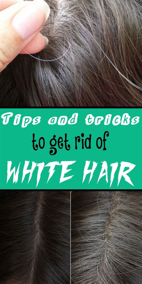Tips And Tricks To Get Rid Of White Hair Natural White Hair Prevent
