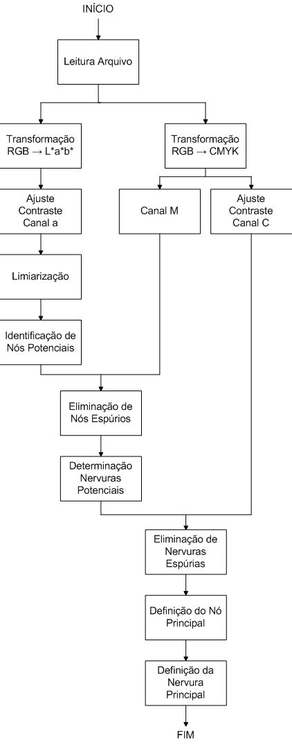 Diagrama De Blocos Do Algoritmo Proposto Download Scientific Diagram