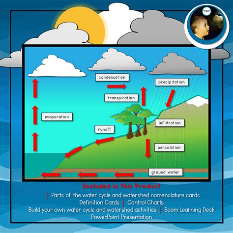 The Water Cycle And Watershed Unit Montessori Cards Powerpoint