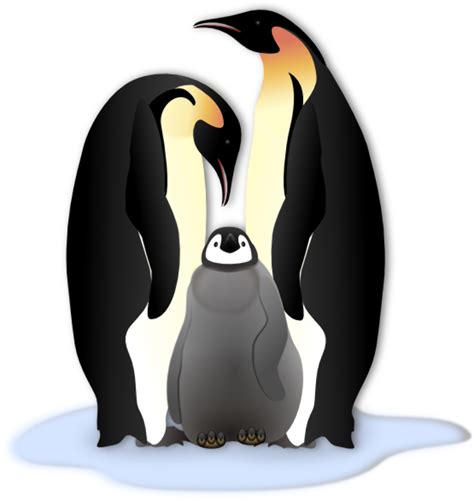 Download High Quality Penguin Clipart Emperor Transparent Png Images