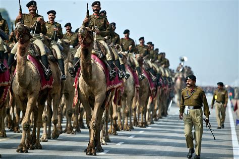 Several camel drivers were also hired. The Indian Camel Army | Special forces, Weird pictures ...