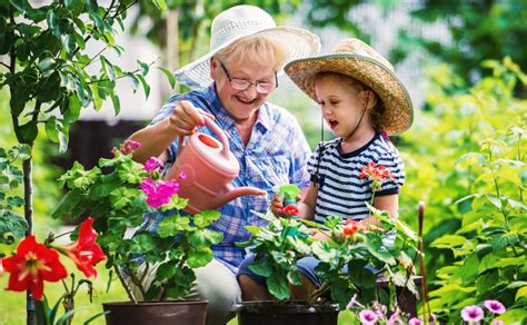 Safety Tips For Senior Gardeners Lifestation