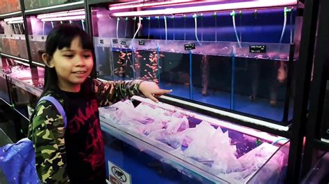 This exercise can help to relieve or. Aquarium Fish Shop In Petaling Jaya - Aquarium Views