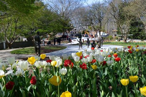 6 Botanical Gardens You Cant Miss This Spring Official Georgia