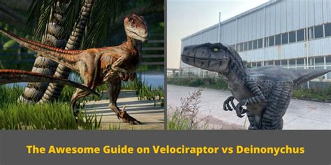 The Awesome Guide On Velociraptor Vs Deinonychus