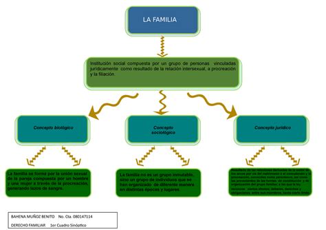 Mapa Conceptual Conceptp De Familia Institución Social Compuesta Por