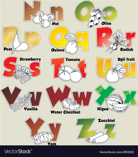 Fruits And Vegetables Alphabet From N To Z Vector Image