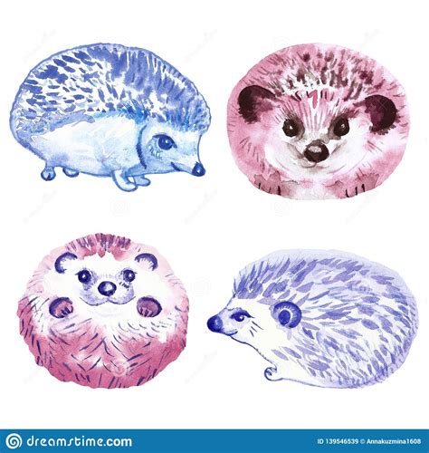 Hedgehogs Set Of Isolated Drawings Cartoon Vector