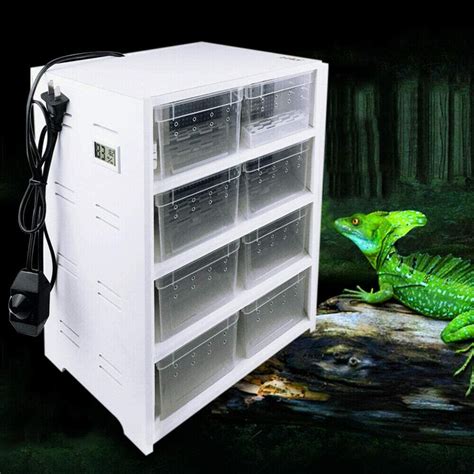 Denyo Gallon Terrarium Pcs Acrylic Breeding Box For Turtle Lizard Spider Reviews Wayfair