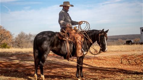 Buckaroo Roping Practice Pasture Roping Cowboy Roping Competition