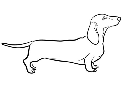 Dachshund Coloring Pages Ideas Coloring Pages Dachshund Coloring My