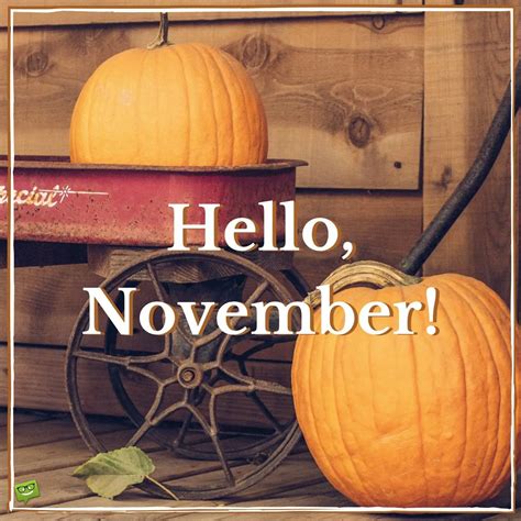 Hello November Quotes For The Month Of Gratitude
