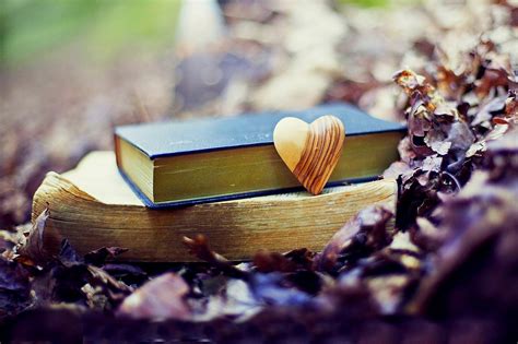 Nature Forest Old Book Leaves Park Heart Love Fall Autumn