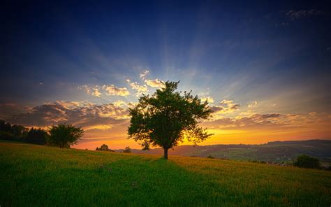 Hd Wallpaper Landscape Sky Dawn Sun Rays Clouds Morning Freshness Tree