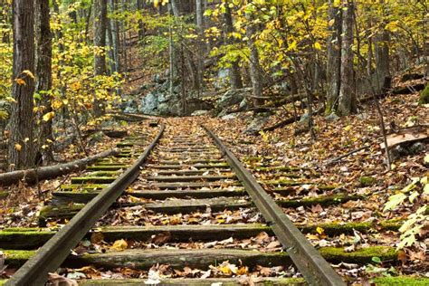 Abandoned Railroad Tracks In Fall Stock Image Image Of Rocks Trees