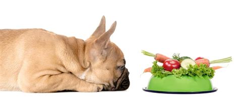 This is exactly what we fed claude as he was growing up. How Much To Feed A French Bulldog Puppy | 4 Week - 6 Week ...