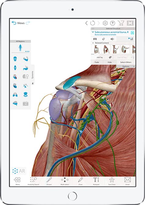 Through a simple and intuitive interface it is possible to observe every anatomical structure from any angle. Visible Body Seat and Site Licenses for labs and institutions