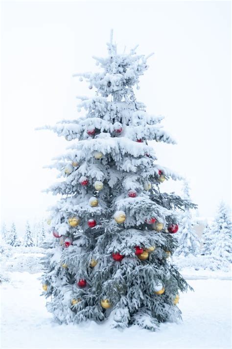 Decorated Christmas Tree In The Forest In The Snow The Theme Of The