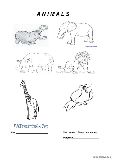 Animals Poster Picture Description English Esl Worksheets Pdf And Doc