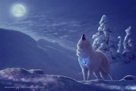 Wolf On Full Moon Winter Night Hd Wallpaper Background