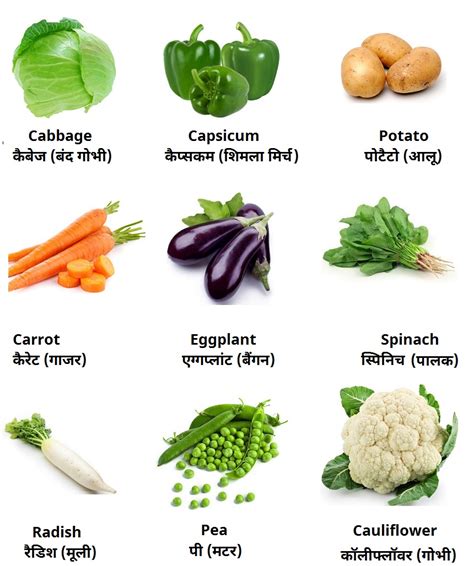 All Vegetables Names In English And Hindi