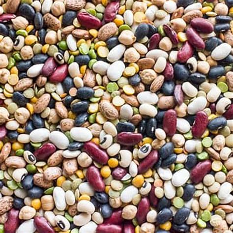 beans beans good for the heart the more you eat the more you… sorchas healthy living