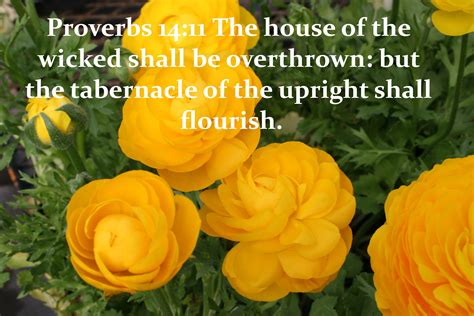 Proverbs 1411 The House Of The Wicked Shall Be Overthrown But The