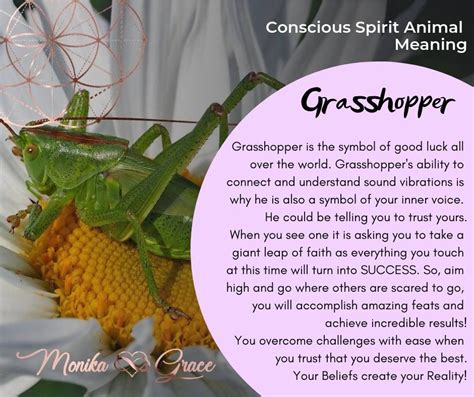 Grasshopper Is A Symbol Of Good Luck All Over The World When You See It It Asks You To Take A