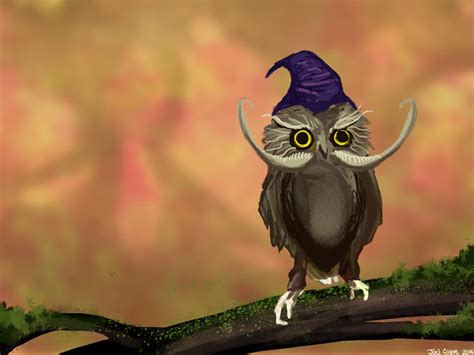 Magic Owl By Sur Mata On Deviantart