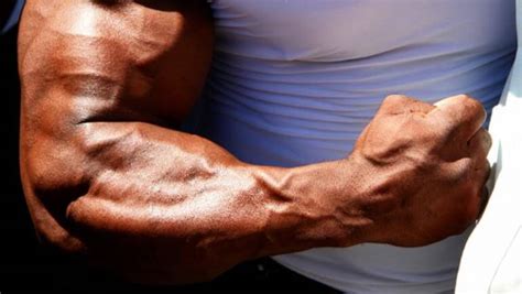 Comment Se Muscler Les Bras Holifit