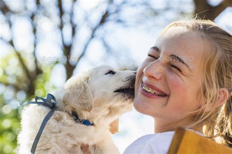 A English Golden Retriever Puppy Licking The Cheek Of A Teenage Girl