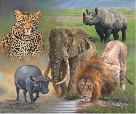 Big Five Animals Material