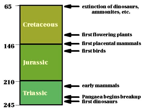 The mesozoic era lasted approximately 185.5 million years; Complex Research Project -- Dinosaur Project: September 2011