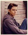 Ponyboy Curtis | The Outsiders Wiki | FANDOM powered by Wikia