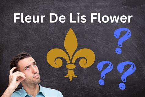 Decoding The Fleur De Lis Flower Symbol Symbolscholar