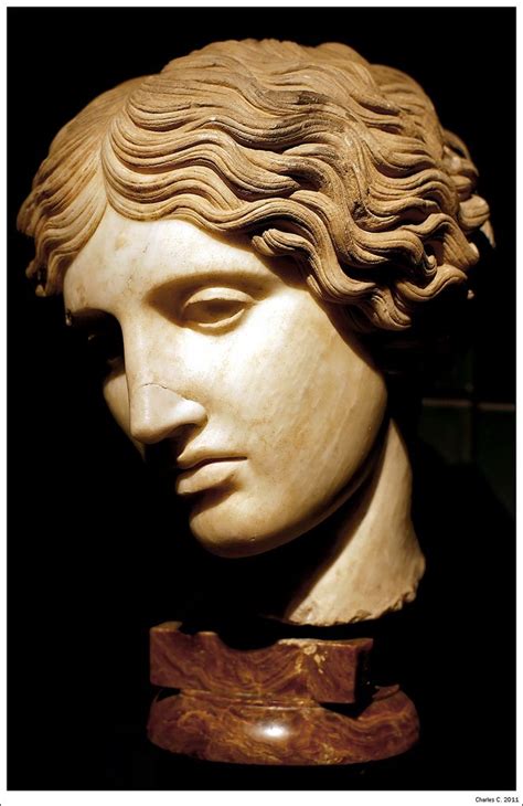 Dsc02588 Roman Sculpture Ancient Greek Sculpture Classic Sculpture