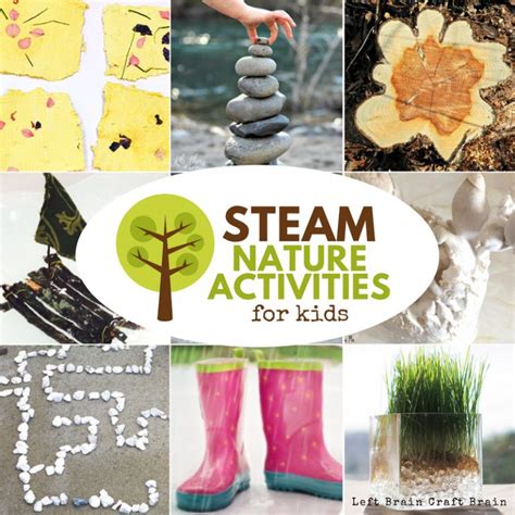 Awesome Steam Nature Activities For Kids Left Brain Craft Brain