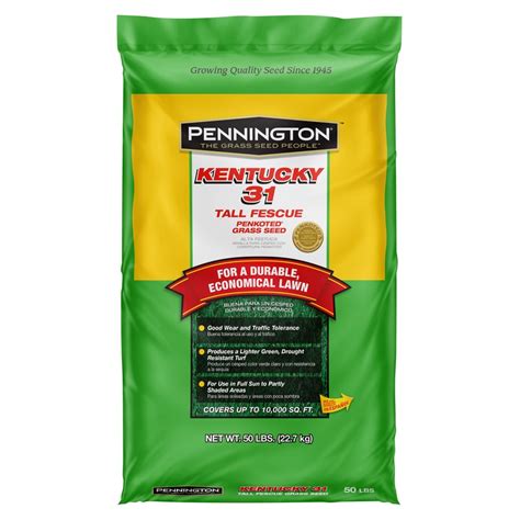 Pennington Kentucky 31 50 Lb Tall Fescue Grass Seed At
