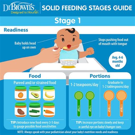 Solid Feeding Stages Guide For Babies Dr Brown S Baby
