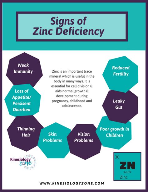 Zinc Deficiency Symptoms And The Best Food Sources Kinesiologyzone