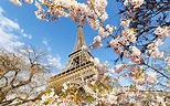 Paris in Spring Wallpapers - Top Free Paris in Spring Backgrounds ...