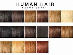 Pin By A H A N On Reference Human Hair Color Human Hair Change